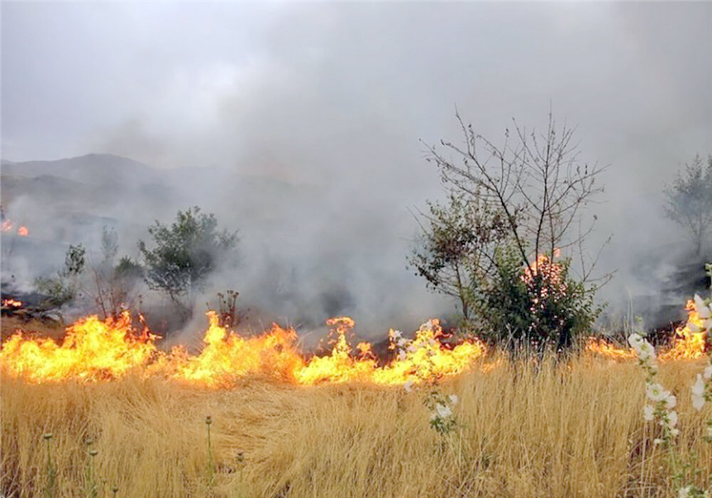 آتش‌سوزی در 153 هکتار از منابع طبیعی کردستان