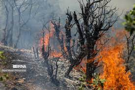 243 هکتار از مراتع و عرصه‌های طبیعی سنندج طعمه آتش شد