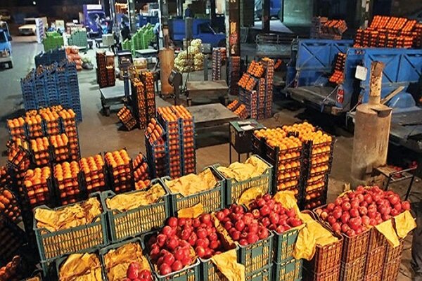 ۴۹ تن سیب و پرتقال تنظیم بازار در نهاوند توزیع می‌شود