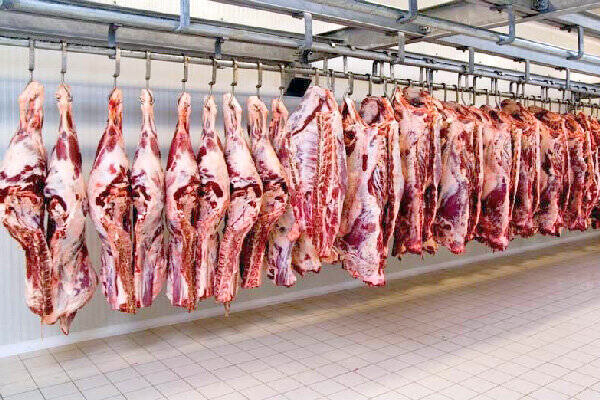 سیگنال بازار نهاده به قیمت گوشت قرمز در ماه‌های آینده‌