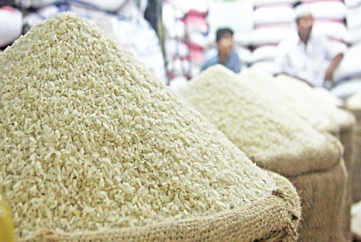 همراهی دولت برای حمایت از برنج ایرانی با بخش خصوصی