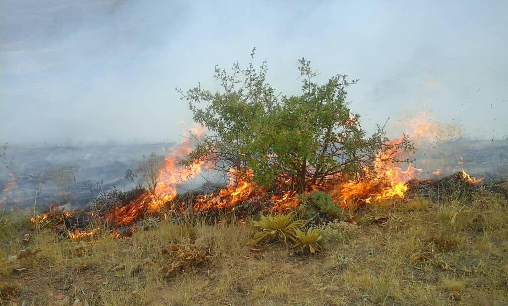 ۱۵ منطقه بحرانی آتش‌سوزی در منابع طبیعی همدان شناسایی شد