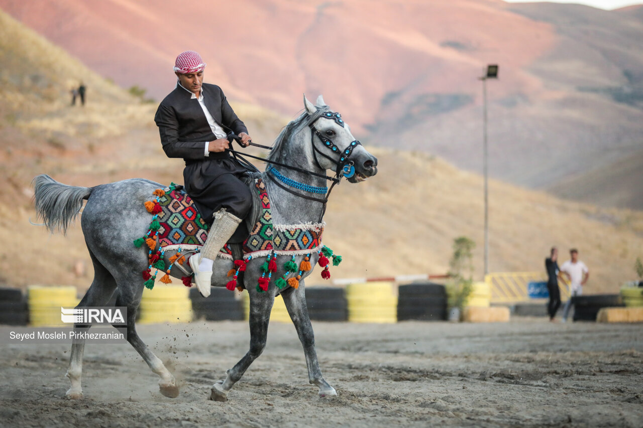 کنگاور اواخر اردیبهشت میزبان جشنواره ملی اسب کُرد است