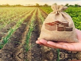 بخش خدمات، حلقه مفقوده جذب سرمایه‌گذار در حوزه کشاورزی