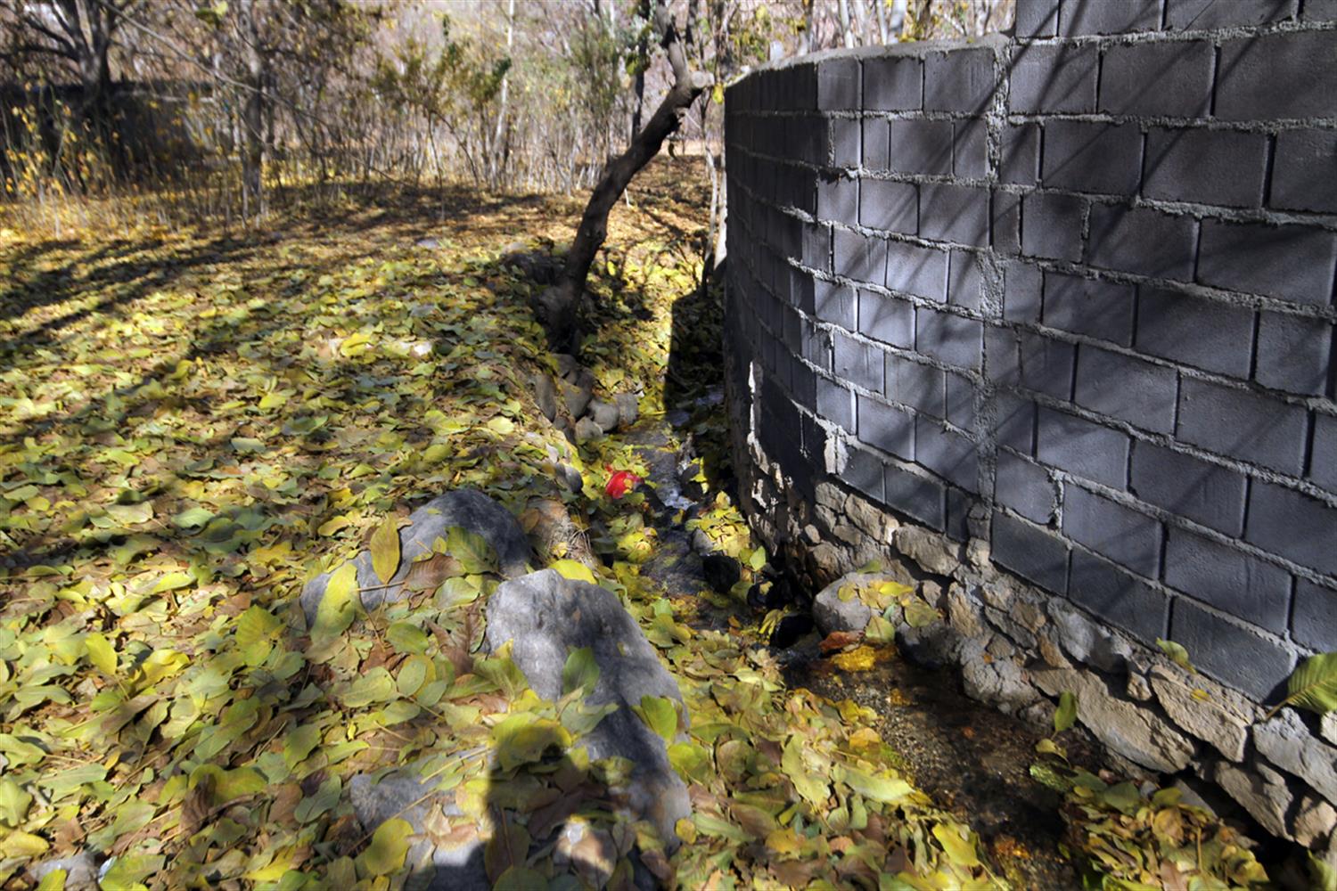 نهرِ خاموش عباس‌آباد؛ روایتی از عقب‌نشینی طبیعت در برابر زیاده‌خواهی و اهمال‌کاری