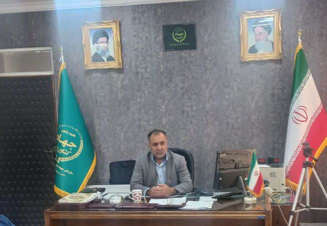 رشد 20 درصدی تولید گردو در طرح سرشاخه‌کاری شهرستان بهار