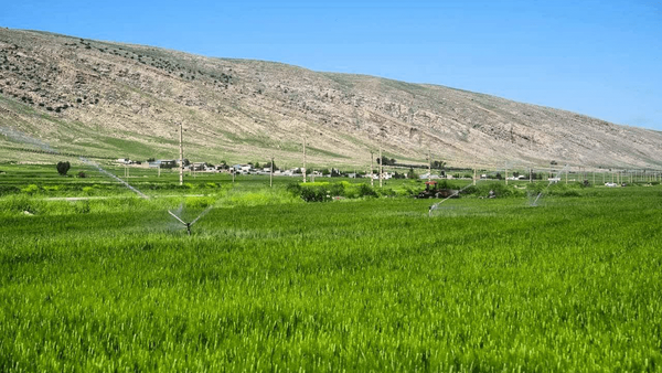 انقلاب آبی در غرب کرمانشاه با سامانه گرمسیری