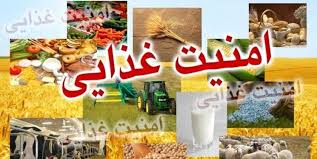 85 درصد امنیت غذایی کشور به تولید داخل وابسته است