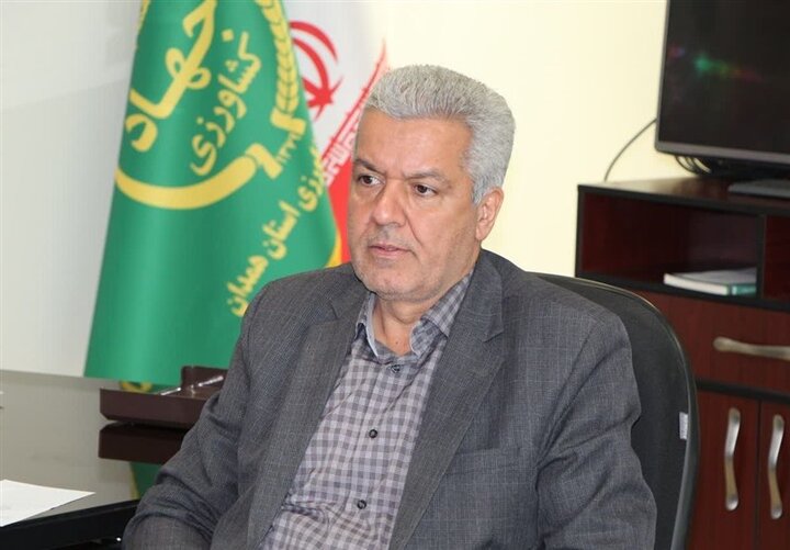 آغاز بازسازی مراکز آسیب‌دیده کشاورزی همدان برای تداوم خرید گندم