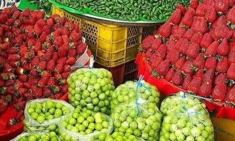 نوبرانه‌های بازار میوه و تره‌بار همدان به کام ازما بهتران