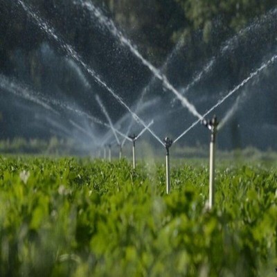 کشاورزان محصولات کم‌آب‌بَر کشت کنند