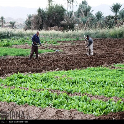 پیش‌بینی 10 هزار میلیارد تومان اعتبار برای توسعه کشاورزی کرمانشاه در سفر رئیس‌جمهور