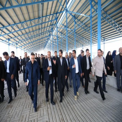 حمایت از سرمایه‌گذاران از هدررفت منابع جلوگیری می‌کند