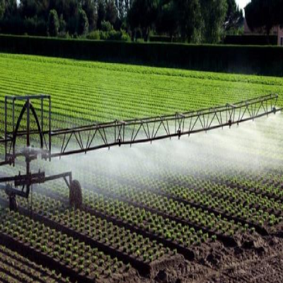 اراک در تولید 6 محصول کشاورزی و دامی استان مرکزی پیشتاز است