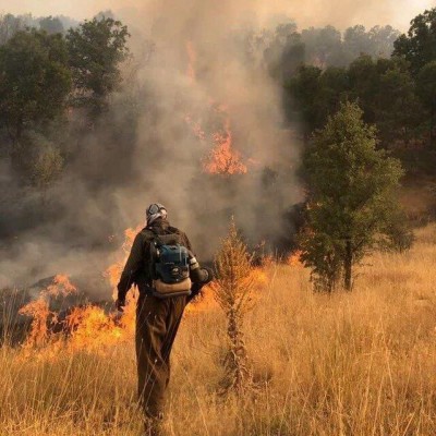 تشکیل 10 فقره پرونده قضائی برای عاملان آتش‌سوزی جنگل‌های مریوان