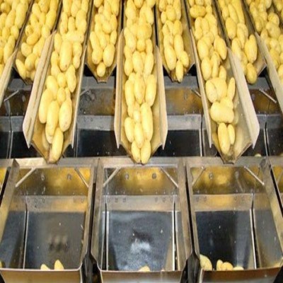 هماهنگی بین نهادی، نخستین گام شکل‌گیری صنایع تبدیلی در همدان