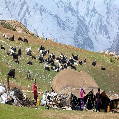 آینده اقتصادی عشایر به تصمیمات امروز دولت گره خورده است