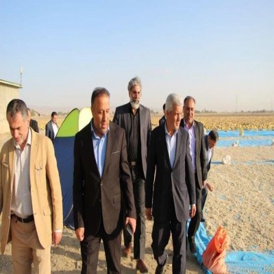 ضرورت ایجاد اتحادیه سراسری سیب‌ زمینی در همدان