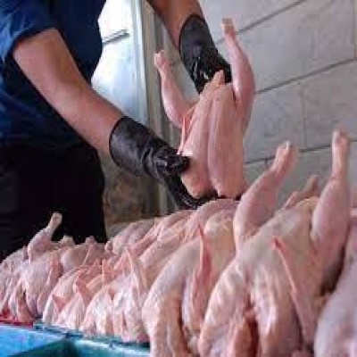 600 واحد صنفی استان مرکزی به سامانه رصدیار توزیع مرغ متصل شدند