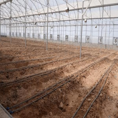 بهره‌برداری از گلخانه 7 هزار مترمربعی تولید صیفی‌جات در دشت عباس