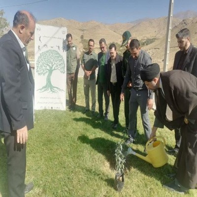 تولید 6 میلیون و 400 هزار اصله نهال در همدان