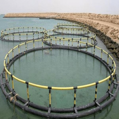 کرمانشاه از ظرفیت سدها برای توسعه آبزی‌پروری غفلت کرده است