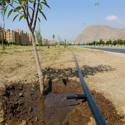 اجرای سیستم‌های نوین و آبیاری قطره‌ای در 40 هکتار فضای سبز اراک