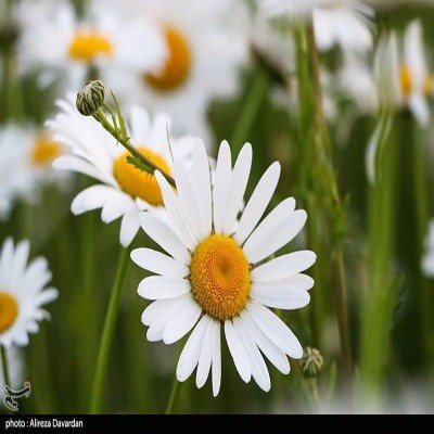 قیمت واقعی یک بخشش در روزگار دشوار