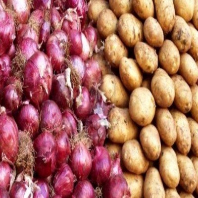 سیب‌ زمینی و پیاز به میزان کافی ذخیره‌سازی شده است