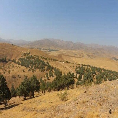 پارک فرامنطقه‌ای اکباتان در بن‌بست نگاه‌های کوتاه‌مدت