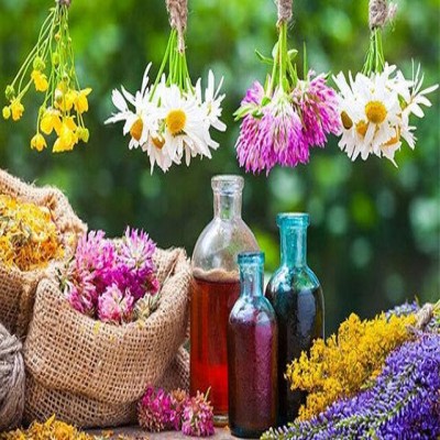 تولید بیش از 400 تُن انواع گیاهان دارویی در تویسرکان