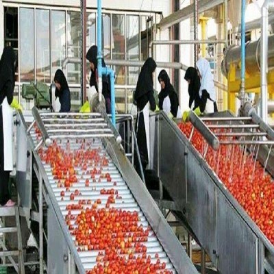اجرای 17 طرح صنایع تبدیلی با سرمایه‌گذاری 5000 میلیارد ریالی در همدان