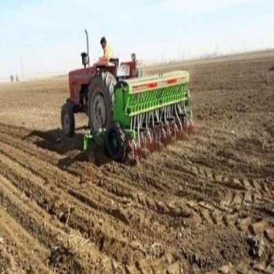 استقبال کشاورزان سیروان از کاشت گیاهان علوفه‌ای