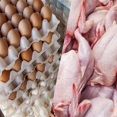 ثبات قیمت مرغ و تخم‌مرغ در همدان