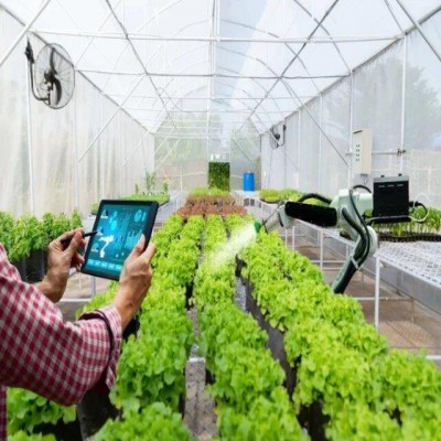 10 درصد گلخانه‌های همدان مدرن هستند