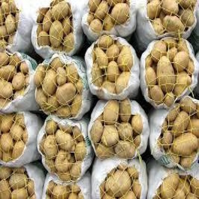 وقتی گونی‌های سنتی، بازارهای جهانی را از ما می‌گیرند