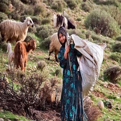 اصلاح ساختار در حوزه عشایر و توسعه روستایی ضروری است