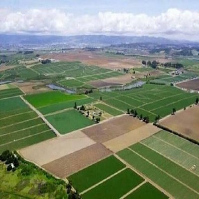 سندهای نامشخص، مانع پنهان سرمایه‌گذاری در کشاورزی