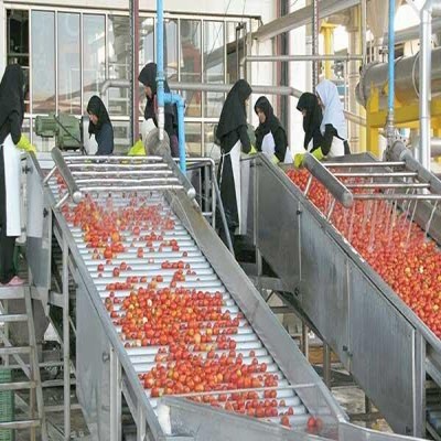 صدور 17 موافقت‌نامه صنایع تبدیلی در خوزستان